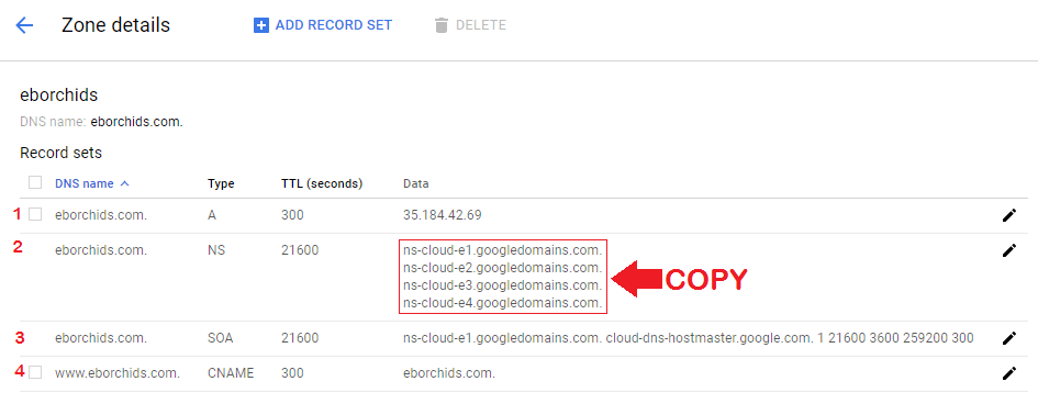 four different records are configured: A, CNAME, SOA, and NS