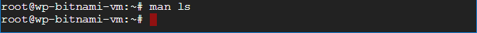 linux commands with examples view command information