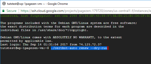 ssl certificate setup wordpress google cloud click to deploy