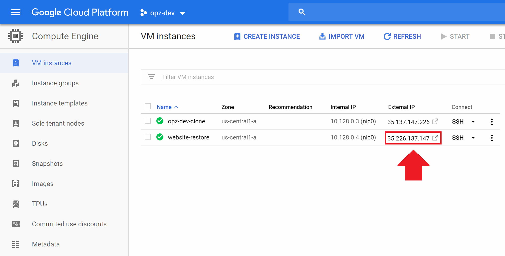 backup and restore websites on google cloud